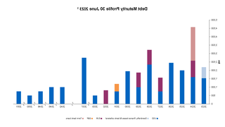 Graph of debt maturity profile